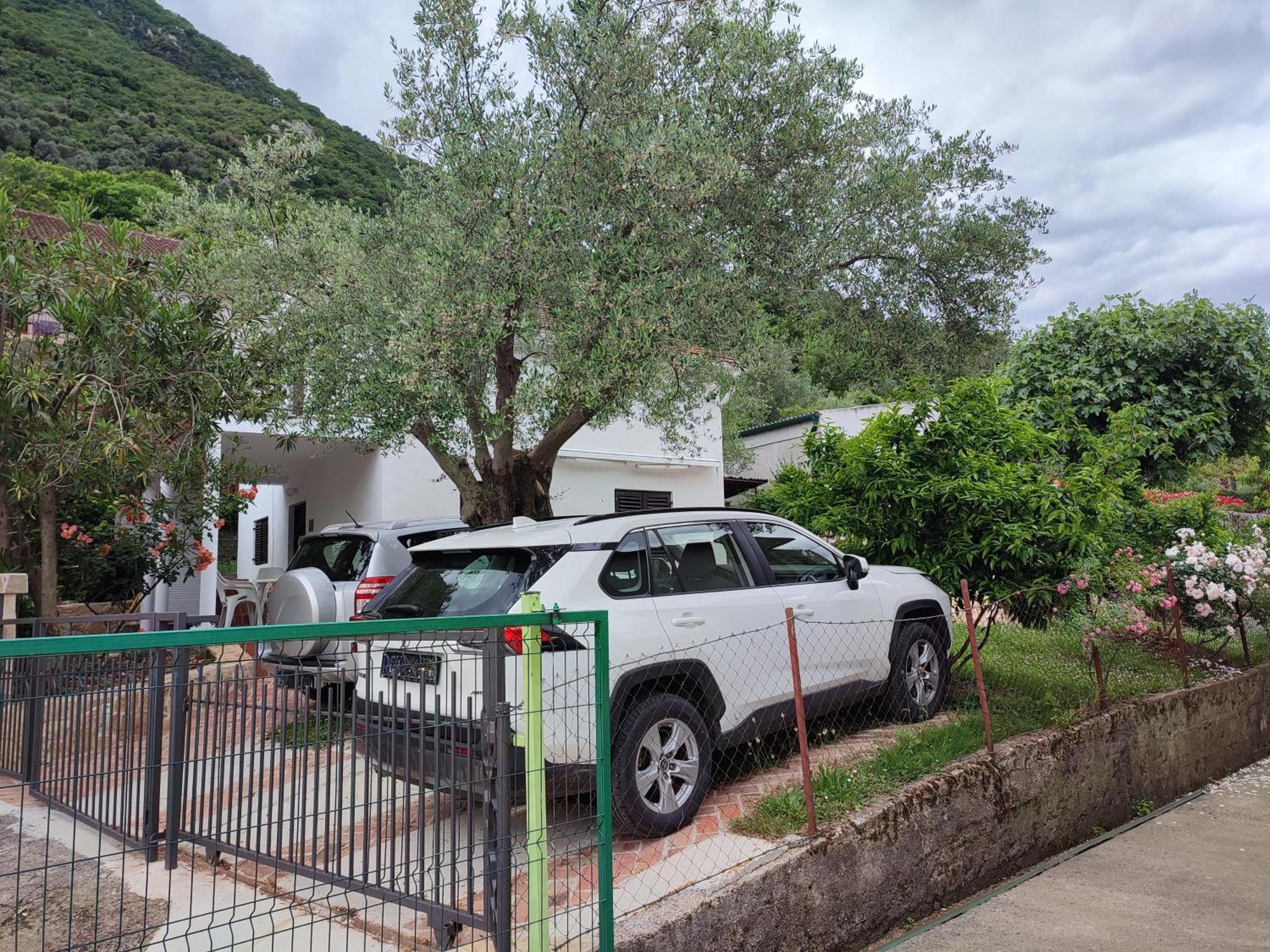 Holiday House In The Kotor Bay Екстериор снимка